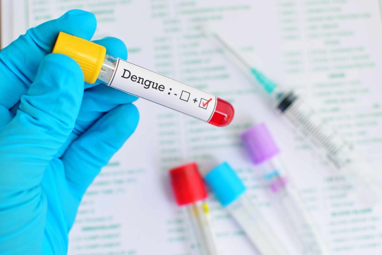 Demam Berdarah Dengue di Tahun 2024: Tantangan dan Langkah-Langkah Penanggulangan