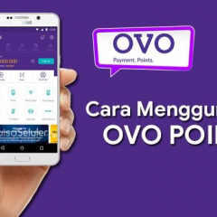 cara cepat membuka ovo yang tidak bisa login